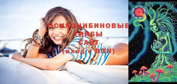 винт Верея